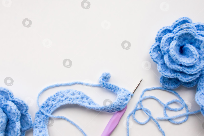 Скачать Синие цветы ручной работы, связанные крючком из пряжи и крючком для вязания крючком на белом фоне фотосток Ozero