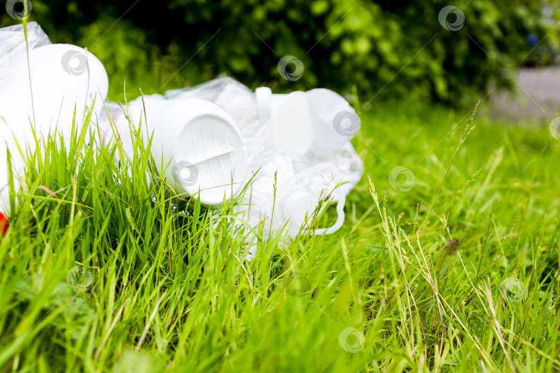Скачать Пластиковые контейнеры, разбросанные по зеленой траве в солнечном парке фотосток Ozero