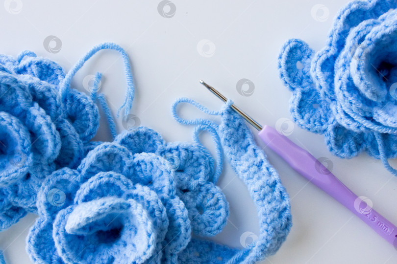Скачать Синие цветы крючком с фиолетовым крючком на белом фоне фотосток Ozero