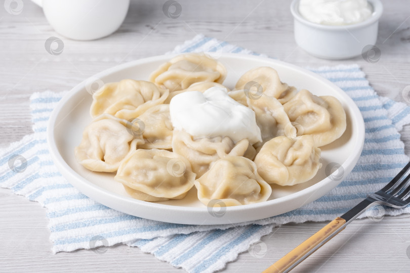 Скачать Традиционные пельмени, равиоли, вареники с мясной начинкой на тарелке, русская кухня фотосток Ozero