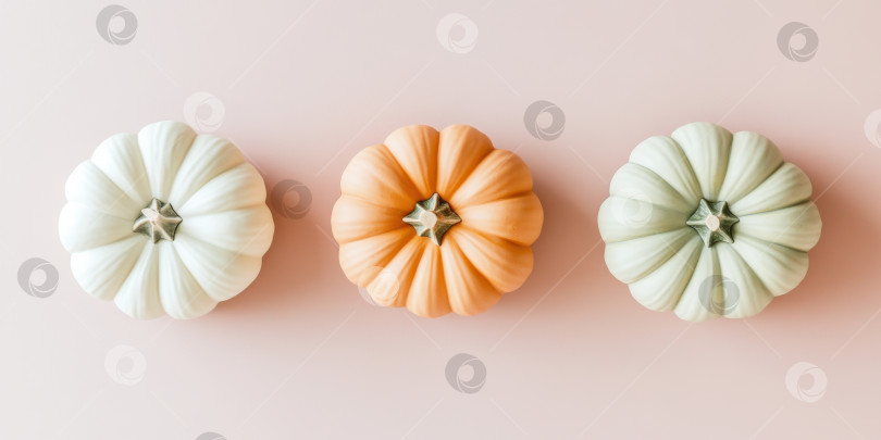 Скачать Вид сверху на три декоративные тыквы, расположенные на нежно-розовом фоне для осеннего декора фотосток Ozero