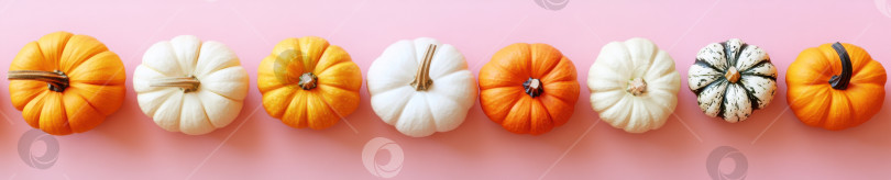 Скачать Разнообразные мини-тыквы на розовом фоне для осеннего декора или декора на Хэллоуин фотосток Ozero