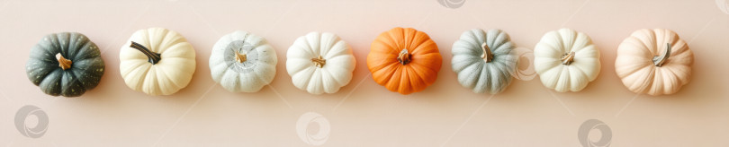 Скачать Несколько тыкв нейтральных тонов в ряд для осеннего декора и сезонного дизайна фотосток Ozero