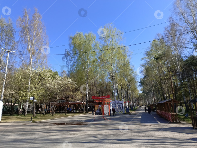 Скачать ЦПКиО фотосток Ozero