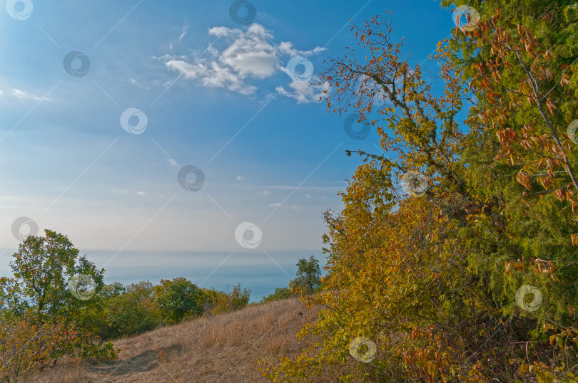 Скачать Осень в крымских горах. фотосток Ozero