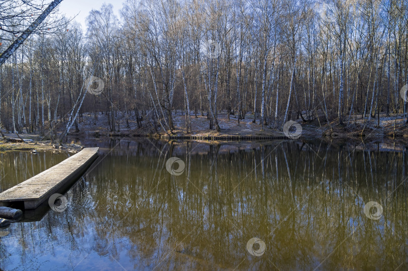 Скачать Пруд поздней осенью. фотосток Ozero