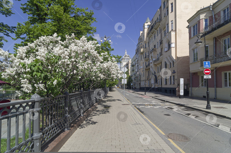 Скачать Городской пейзаж Москвы с цветущей белой сиренью. фотосток Ozero
