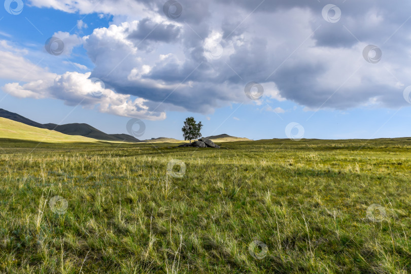 Скачать Горный пейзаж фотосток Ozero
