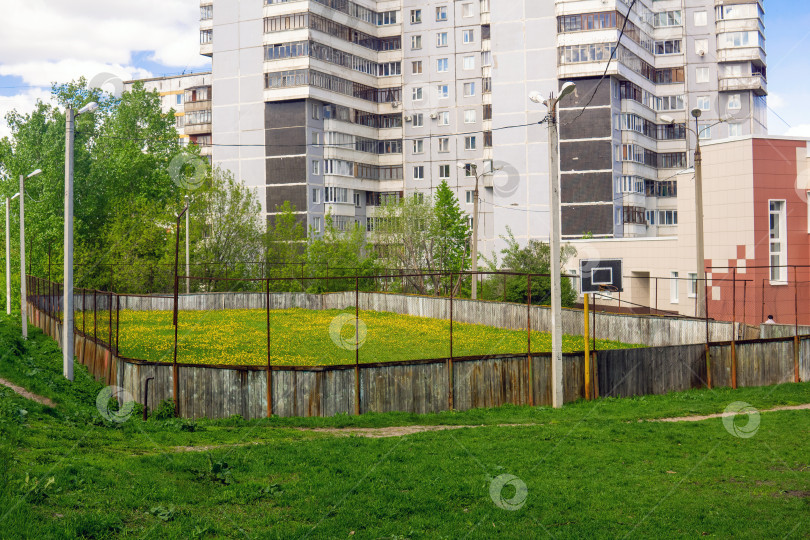 Скачать летний городской пейзаж с открытым хоккейным катком, заросшим травой и цветами не по сезону фотосток Ozero