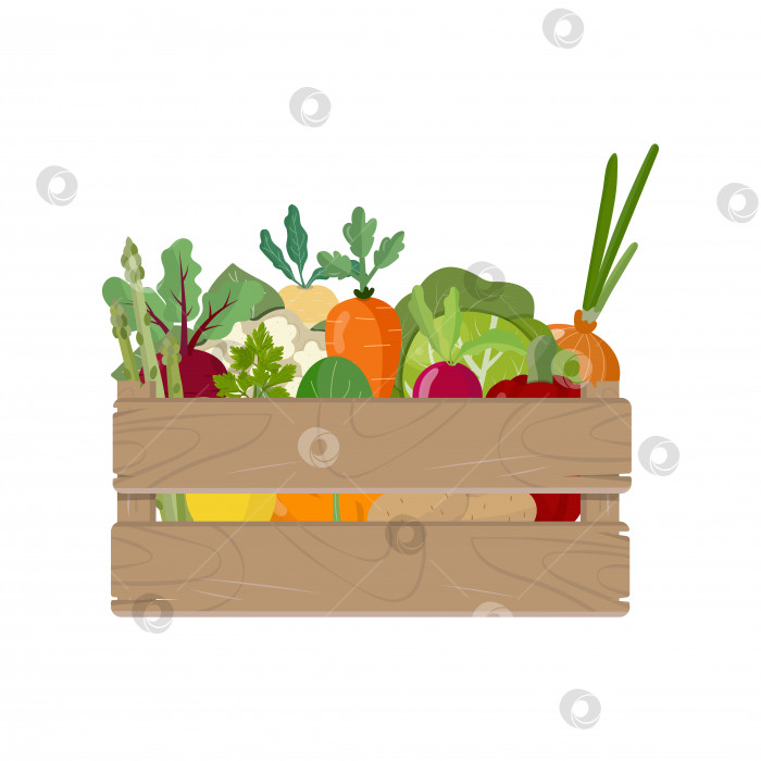 Скачать Овощи в деревянной коробке, здоровое питание фотосток Ozero