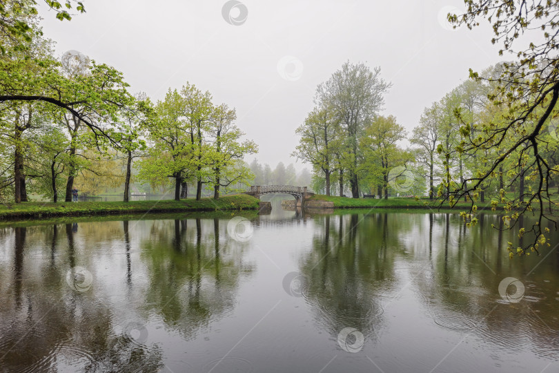Скачать Старый каменный мост. Парк дождливой весны. фотосток Ozero