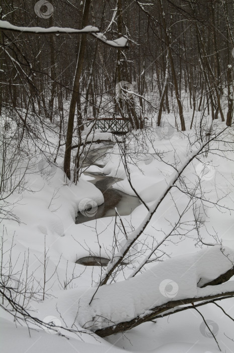 Скачать Ручей в зимнем лесу. фотосток Ozero