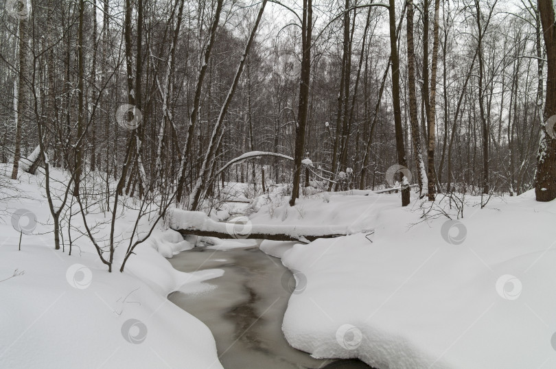 Скачать Ручей в зимнем лесу. фотосток Ozero