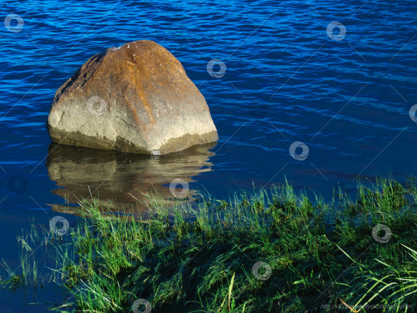 Скачать Камень в воде у берега фотосток Ozero