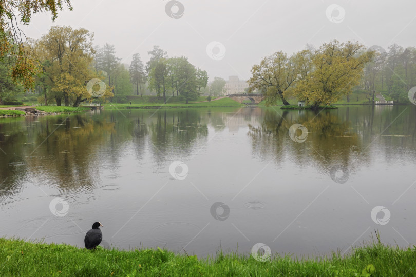 Скачать Дождливый весенний парк. Дождливая меланхолия. фотосток Ozero