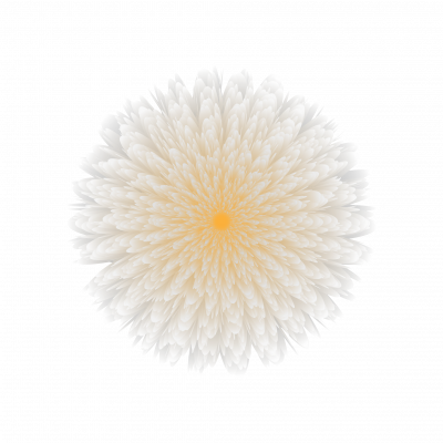 [object Object] undefined