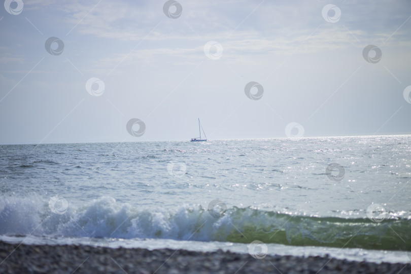 Скачать город Сочи, страна Россия, март 2025 года, фотосток Ozero