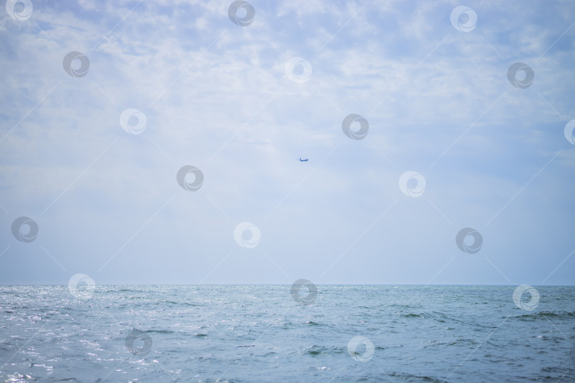 Скачать город Сочи, страна Россия, март 2025 года, фотосток Ozero