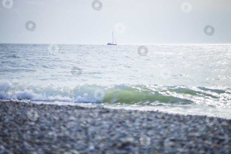 Скачать Россия, Сочи, март 2025 года фотосток Ozero