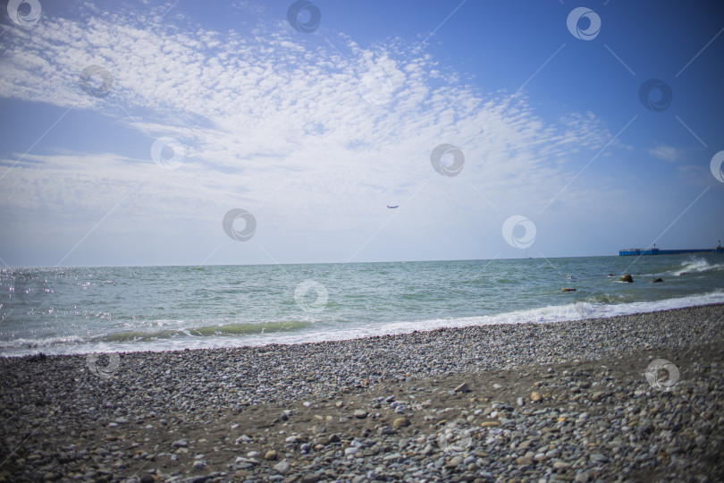 Скачать город Сочи, страна Россия, март 2025 года, фотосток Ozero