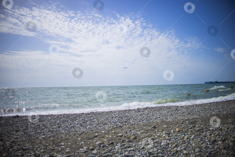 Скачать Россия, Сочи, март 2025 года фотосток Ozero