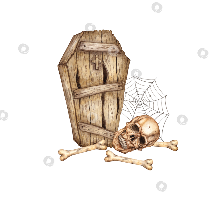 Скачать Гроб и череп с костями акварелью фотосток Ozero