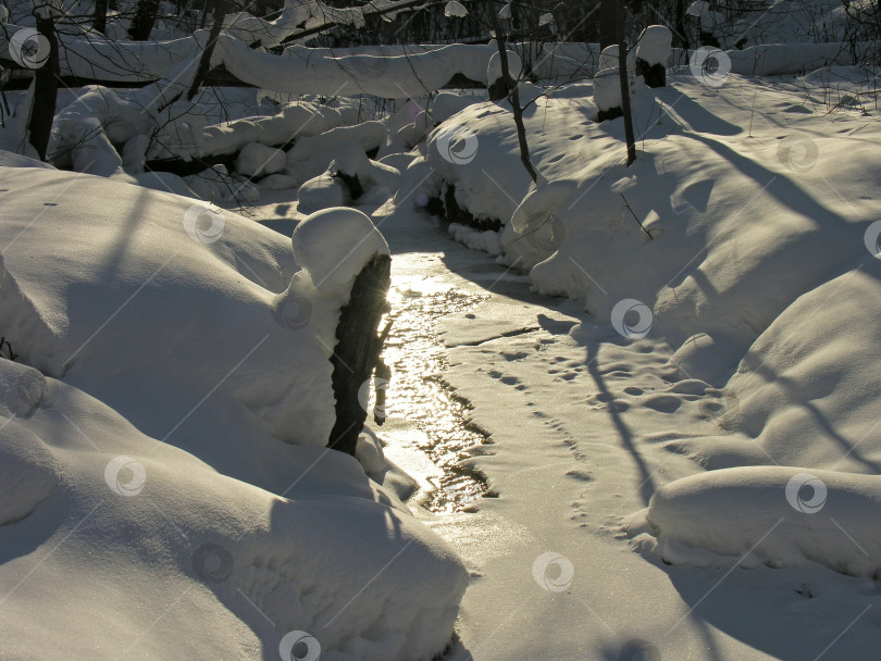 Скачать Ручей в зимнем лесу. фотосток Ozero