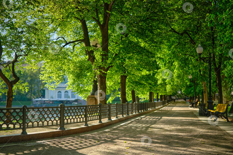 Скачать Москва. Утро на Патриарших прудах. фотосток Ozero