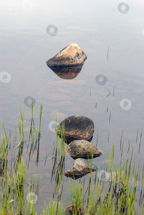 Скачать камни и водная гладь фотосток Ozero
