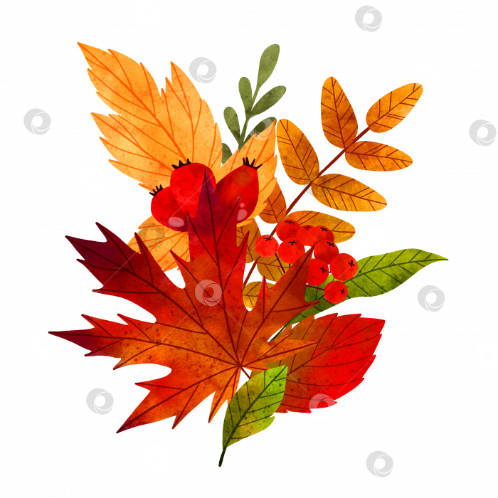 Скачать Пышный букет из осенних листьев, нарисованный вручную акварелью фотосток Ozero