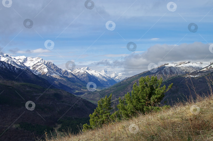 Скачать Весна в Кавказских горах. фотосток Ozero