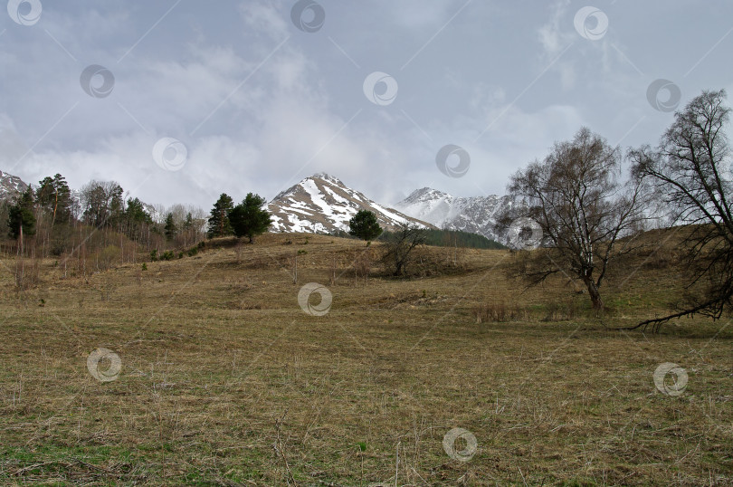 Скачать Весна в Кавказских горах. фотосток Ozero