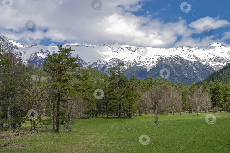 Скачать Весна в Кавказских горах. фотосток Ozero