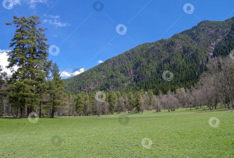 Скачать Весна в Кавказских горах. фотосток Ozero