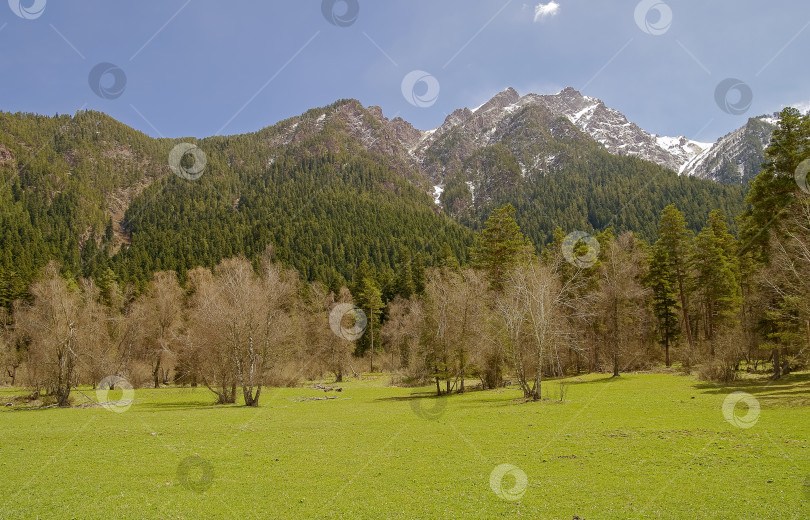 Скачать Весна в Кавказских горах. фотосток Ozero