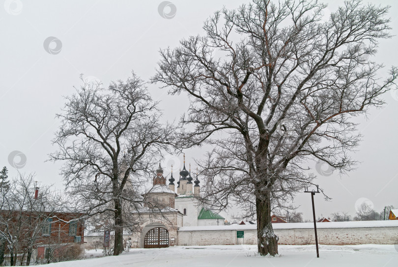 Скачать Красивые деревья перед воротами православного монастыря. фотосток Ozero