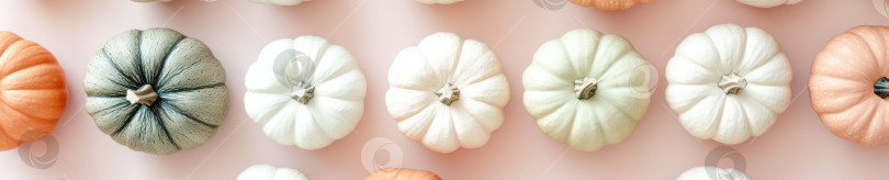 Скачать Ассорти из тыкв нейтральных тонов для осеннего декора и праздничного вдохновения фотосток Ozero