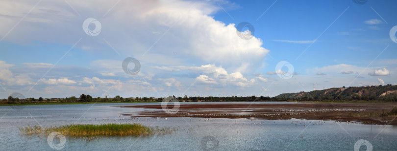 Скачать Панорамный пейзаж с видом на реку с крутым берегом. фотосток Ozero