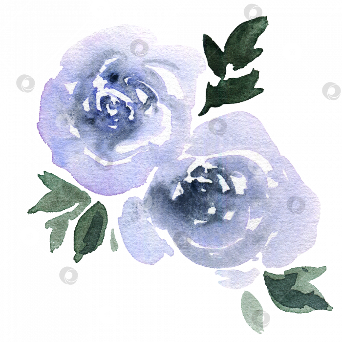 Скачать Крошечные рассыпчатые акварельные розы фиолетовых и синих оттенков фотосток Ozero