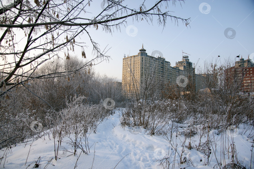 Скачать Зимний пейзаж фотосток Ozero