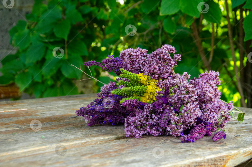Скачать Весенние цветы. Сиреневые цветы на деревянном фоне. фотосток Ozero