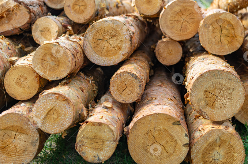 Скачать сложенные поленья для дров для фона, текстура дерева. фотосток Ozero
