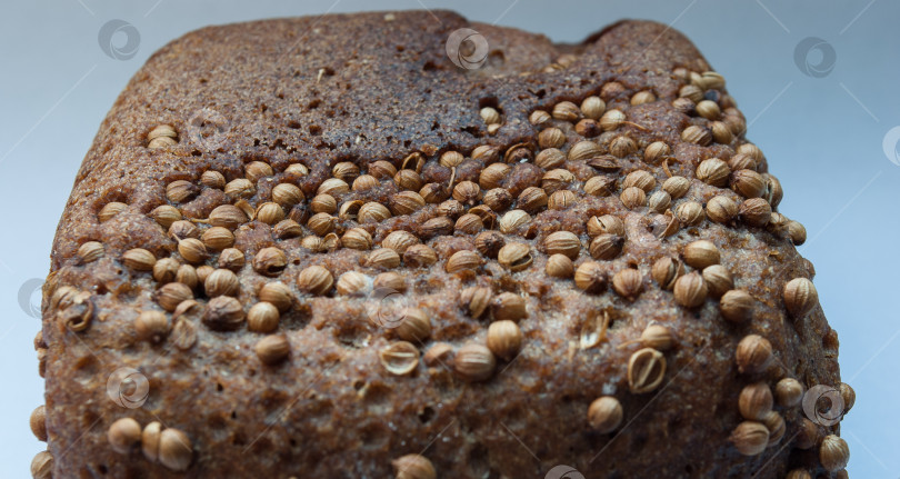 Скачать Крупным планом свежий хлеб с орехами на синем фоне фотосток Ozero