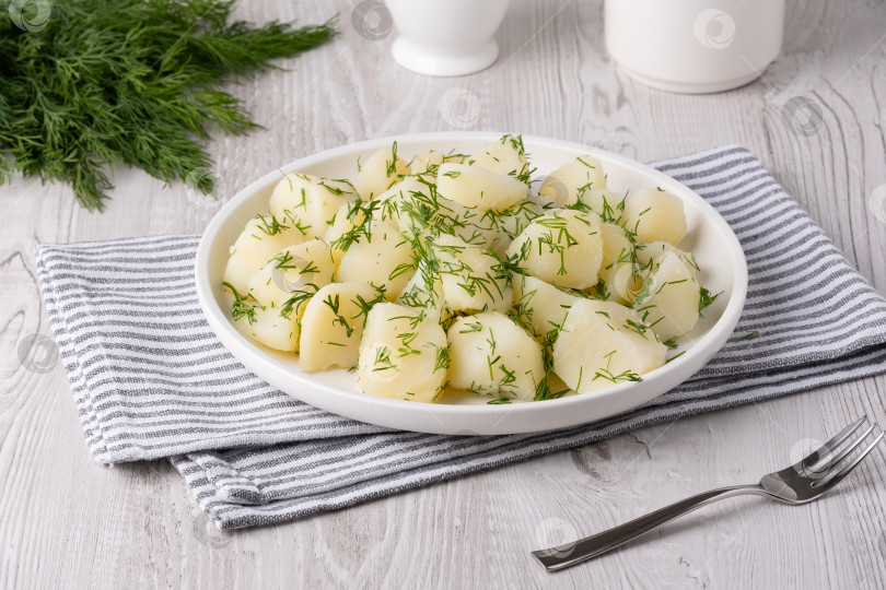 Скачать Свежеприготовленный картофель, украшенный укропом, на белой тарелке в уютной кухонной обстановке фотосток Ozero