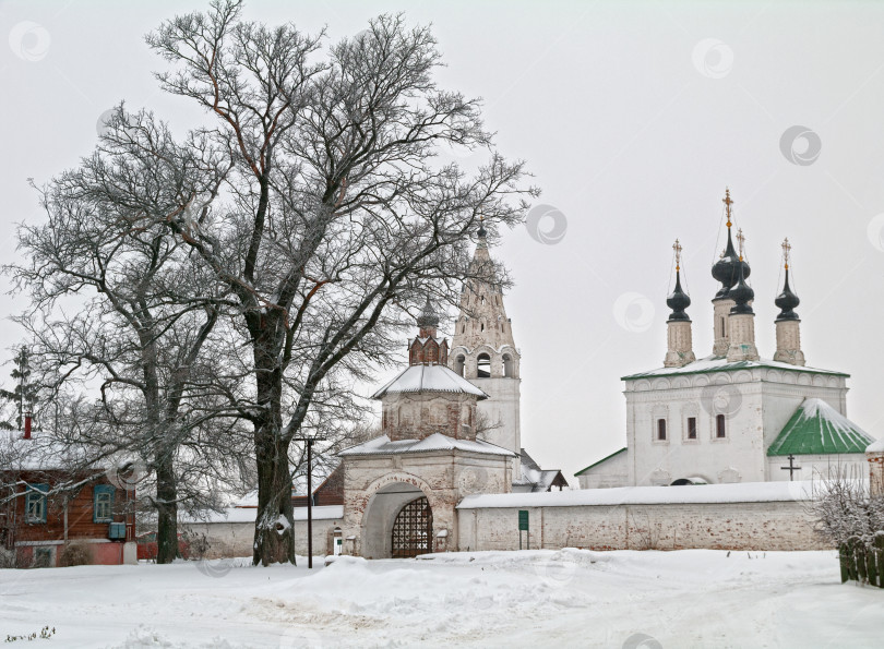 Скачать Красивое дерево перед воротами православного монастыря. фотосток Ozero
