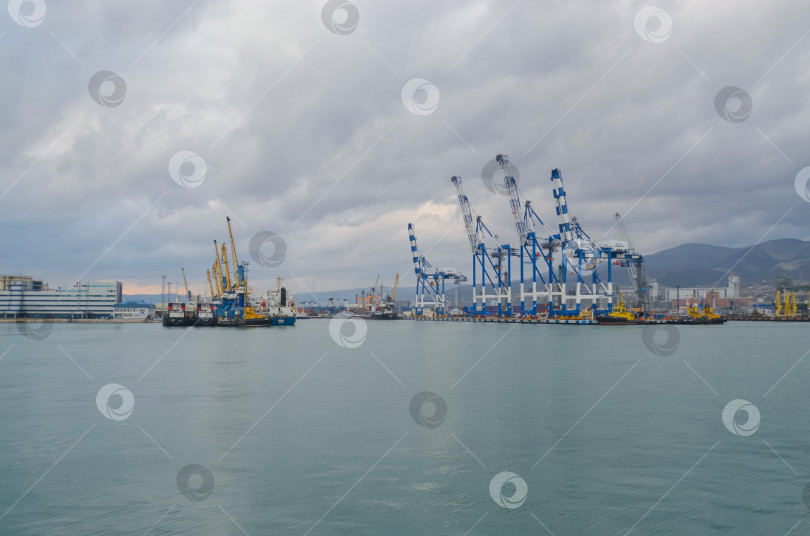 Скачать Россия, Краснодарский край, Новороссийск. Январь 2025 года. Морской порт Новороссийск. ​Вид на погрузочные краны. фотосток Ozero