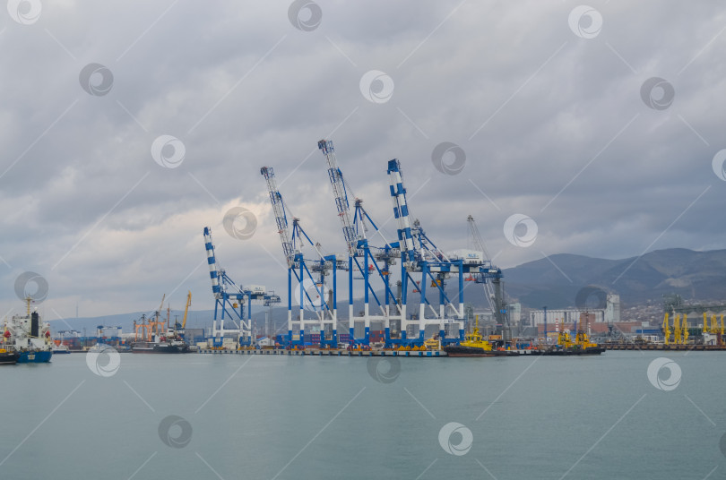 Скачать Россия, Краснодарский край, Новороссийск. Январь 2025 года. Морской порт Новороссийск. ​Вид на погрузочные краны. фотосток Ozero
