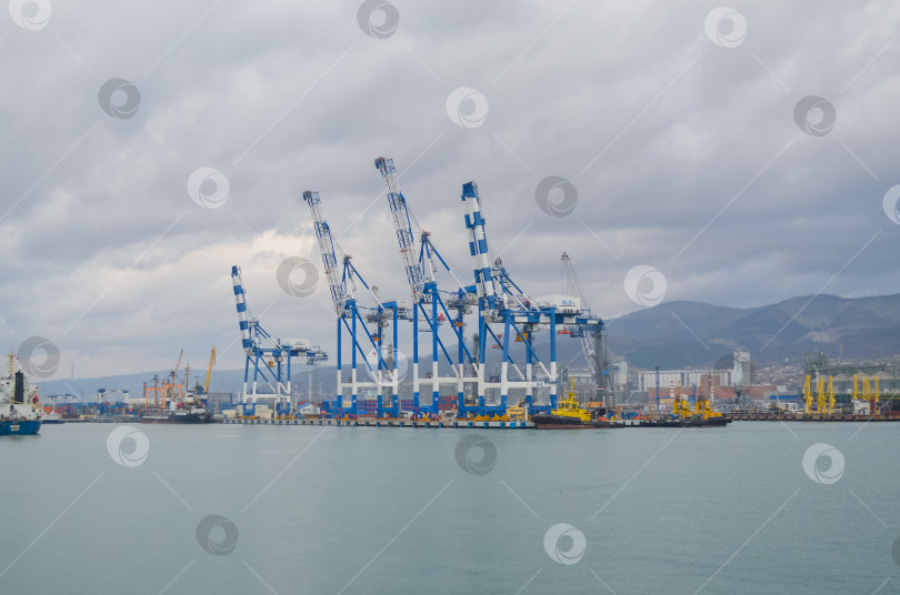 Скачать Россия, Краснодарский край, Новороссийск. Январь 2025 года. Морской порт Новороссийск. ​Вид на погрузочные краны. фотосток Ozero