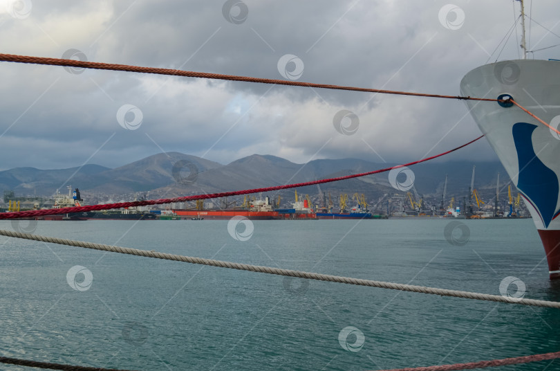 Скачать Россия, Краснодарский край, Новороссийск. Январь 2025 года. Морской порт Новороссийск. ​Вид на погрузочные краны. фотосток Ozero
