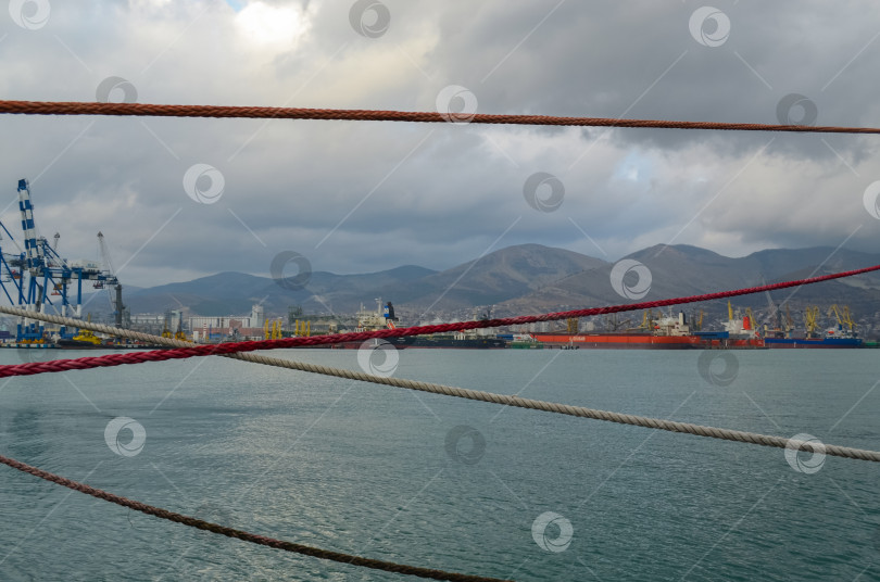 Скачать Россия, Краснодарский край, Новороссийск. Январь 2025 года. Морской порт Новороссийск. ​Вид на погрузочные краны. фотосток Ozero